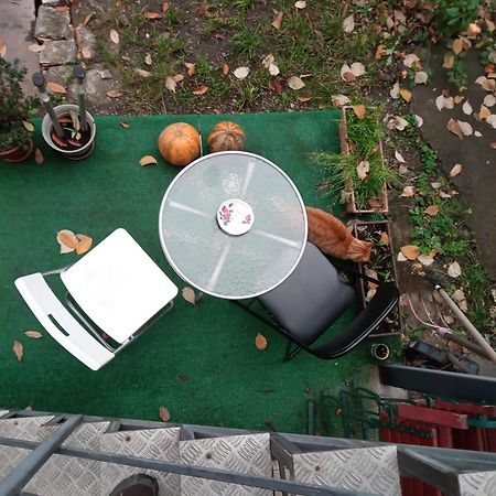 Apartament Cu Un Dormitor Spatios In Centrul Cluj-Napoca Exteriör bild