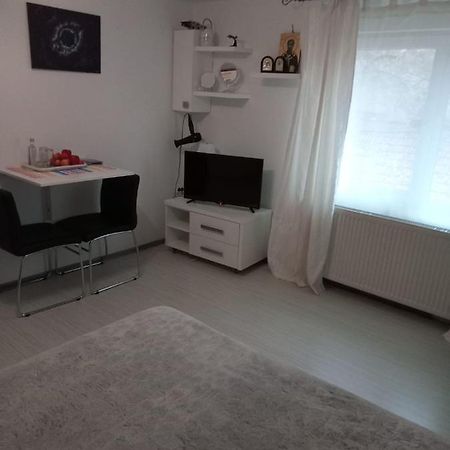 Apartament Cu Un Dormitor Spatios In Centrul Cluj-Napoca Exteriör bild