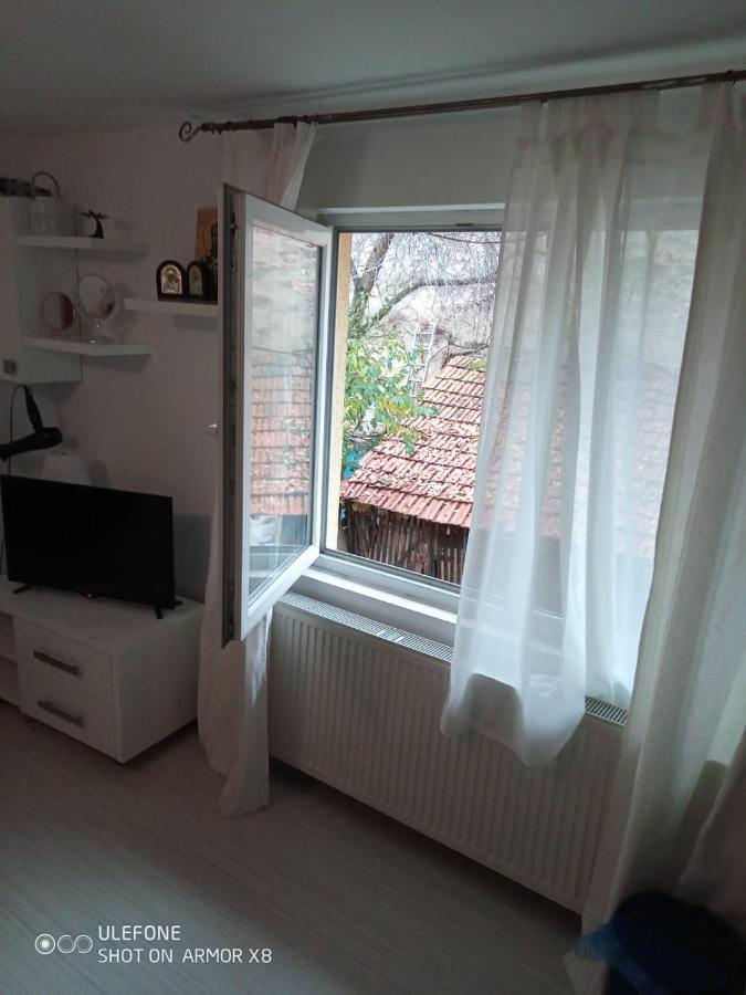 Apartament Cu Un Dormitor Spatios In Centrul Cluj-Napoca Exteriör bild