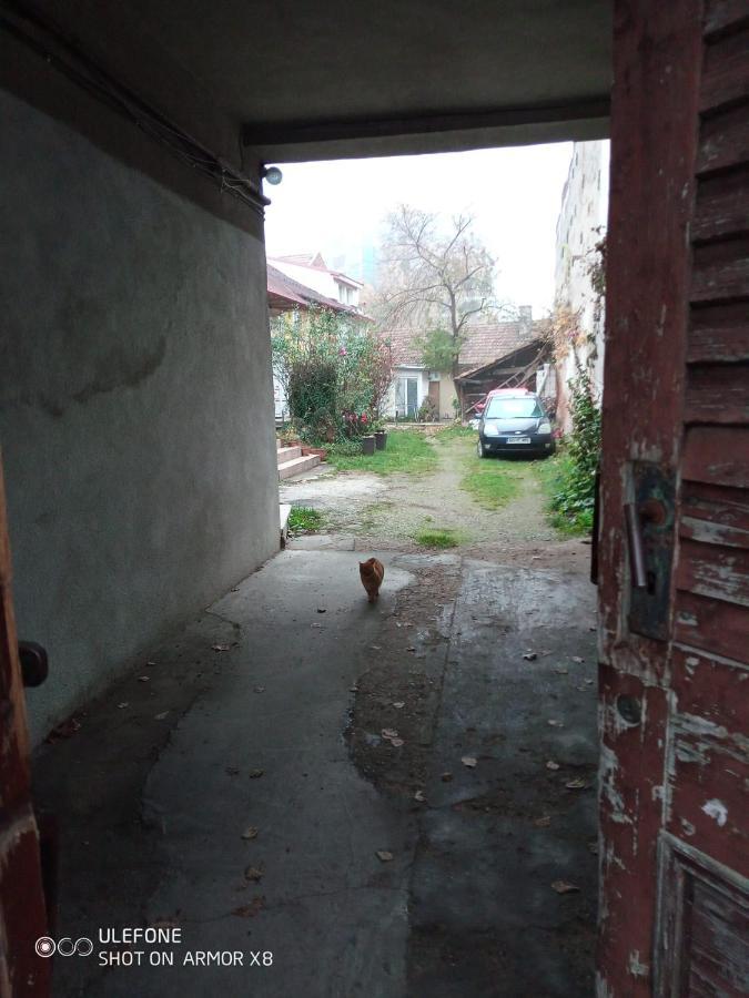 Apartament Cu Un Dormitor Spatios In Centrul Cluj-Napoca Exteriör bild