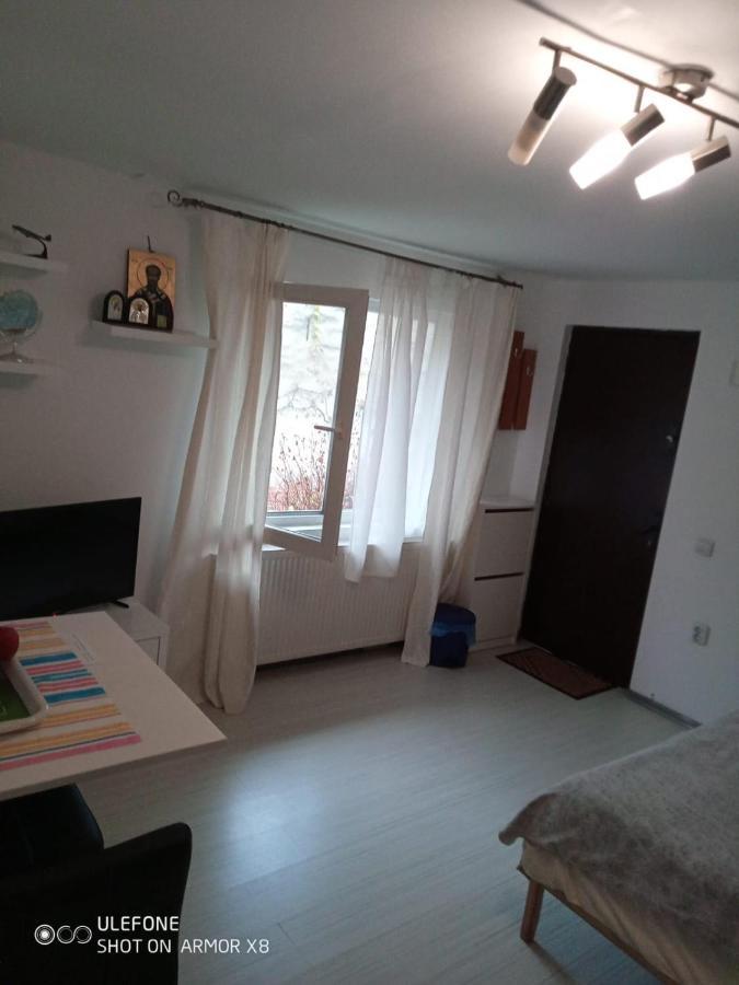 Apartament Cu Un Dormitor Spatios In Centrul Cluj-Napoca Exteriör bild