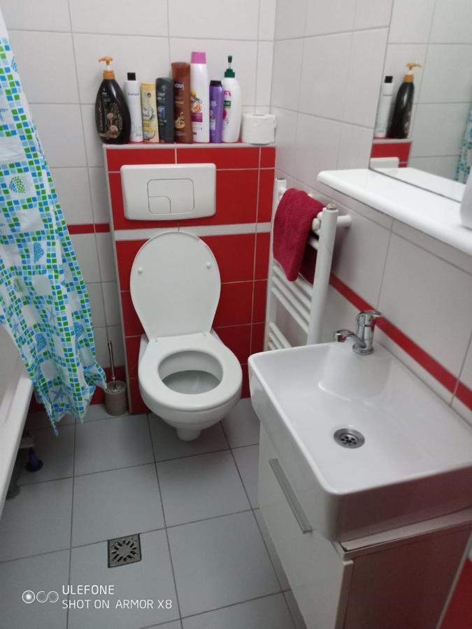Apartament Cu Un Dormitor Spatios In Centrul Cluj-Napoca Exteriör bild