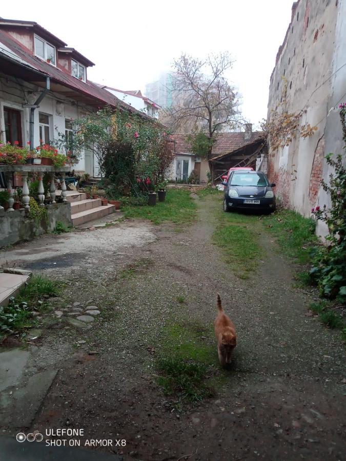 Apartament Cu Un Dormitor Spatios In Centrul Cluj-Napoca Exteriör bild
